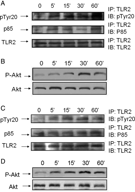 Figure 5