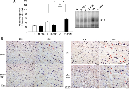 Figure 3