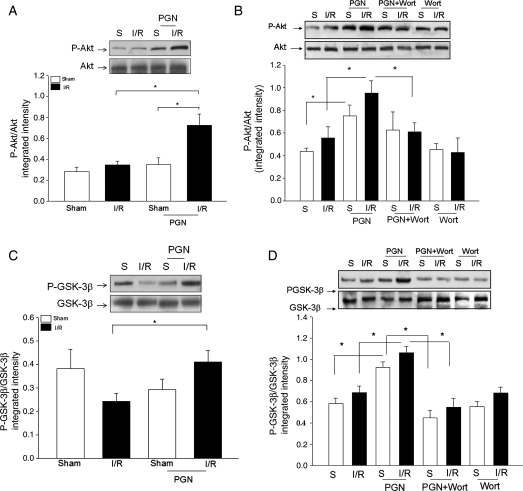 Figure 4