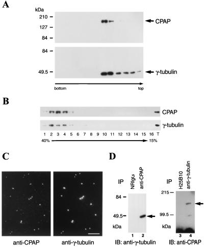 FIG. 7