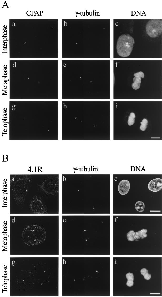 FIG. 6