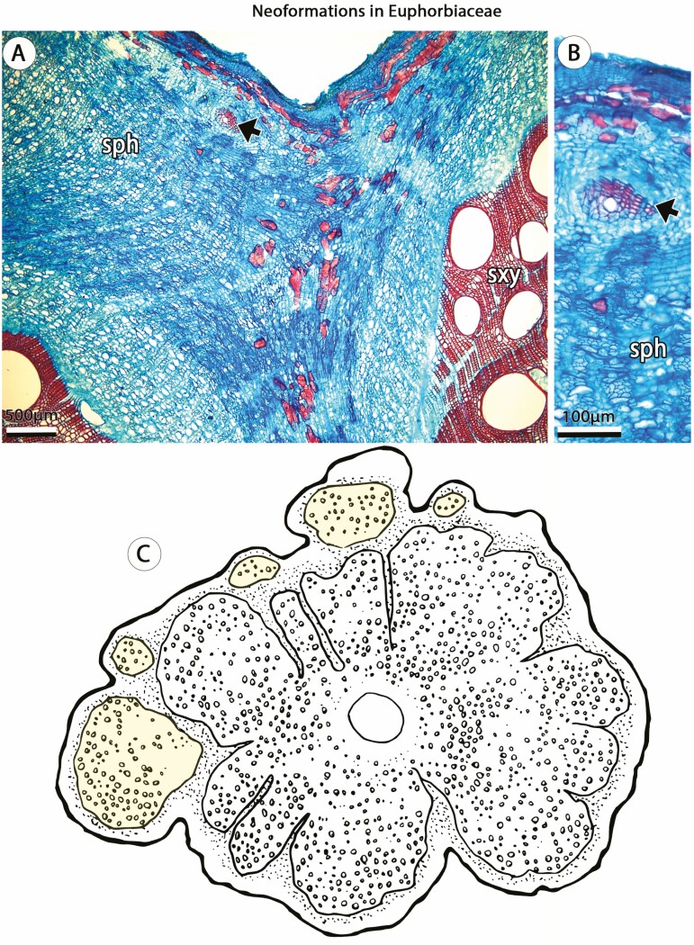 Figure 7.
