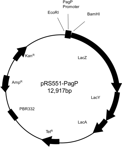 FIGURE 3.