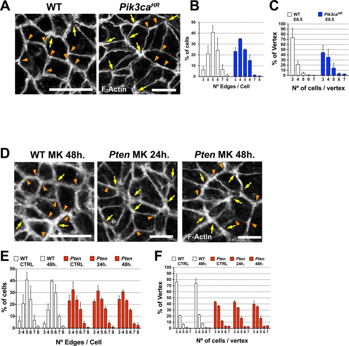 Figure 6—figure supplement 1.