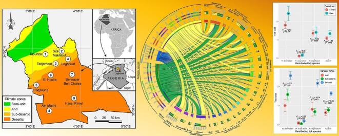 Unlabelled Image