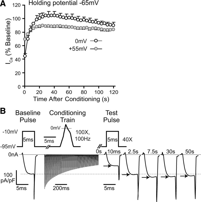 Figure 9.