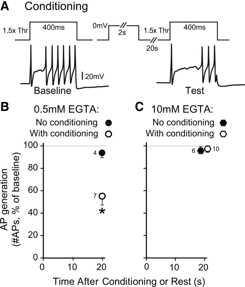 Figure 11.