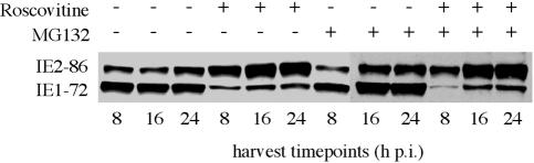 FIG. 11.