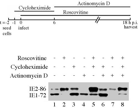 FIG. 10.