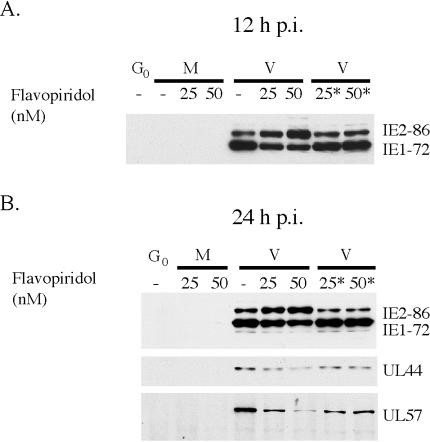 FIG. 12.