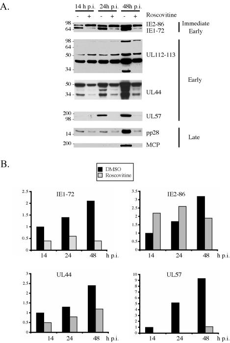 FIG. 5.