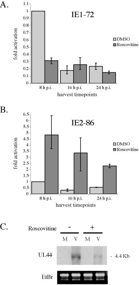 FIG. 8.