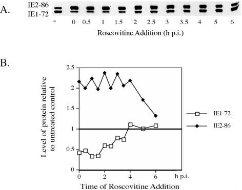 FIG. 7.