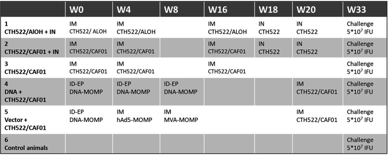 Figure 1