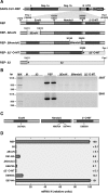 FIG. 4.