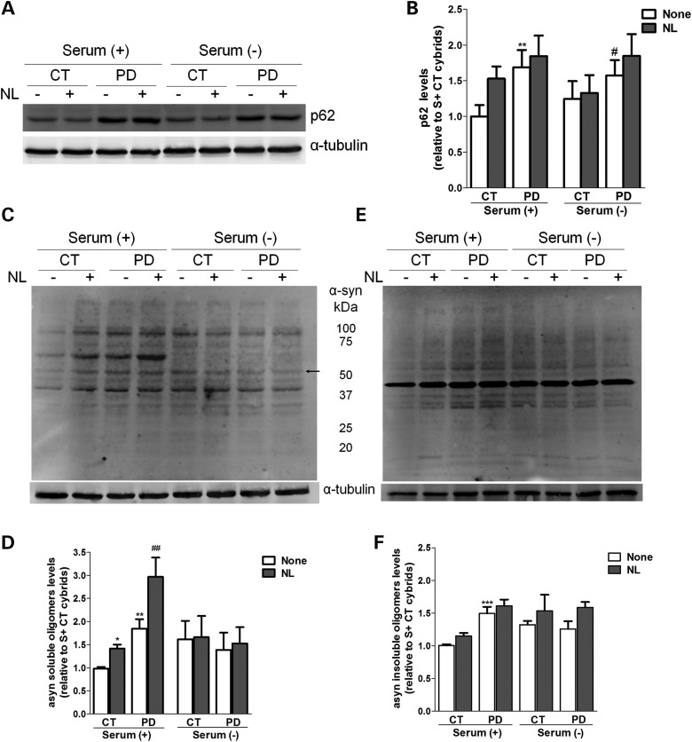 Figure 10.