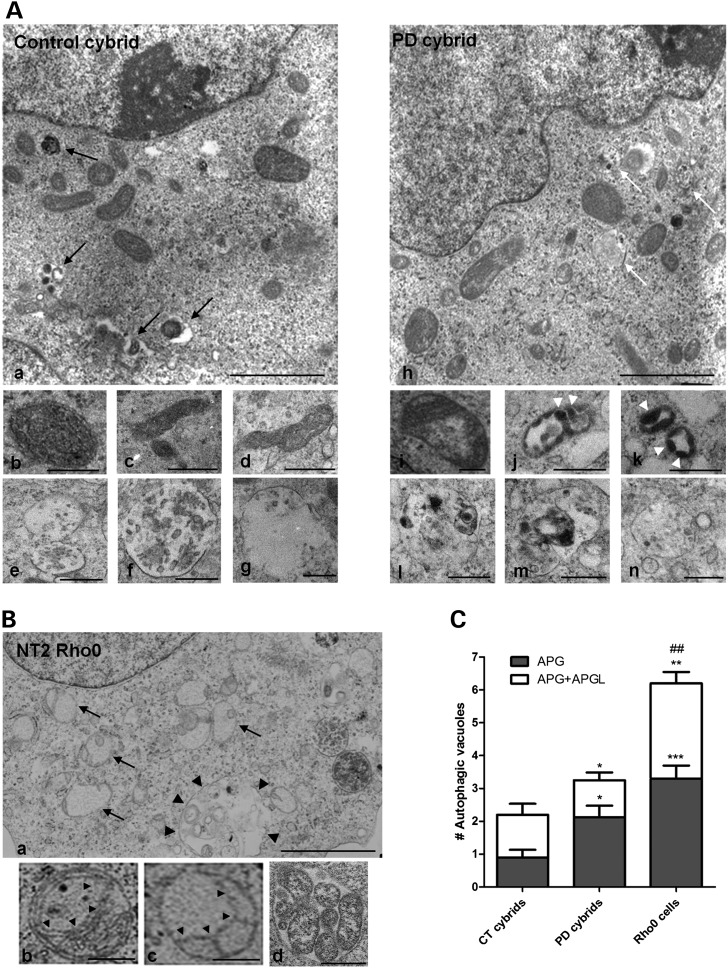 Figure 2.