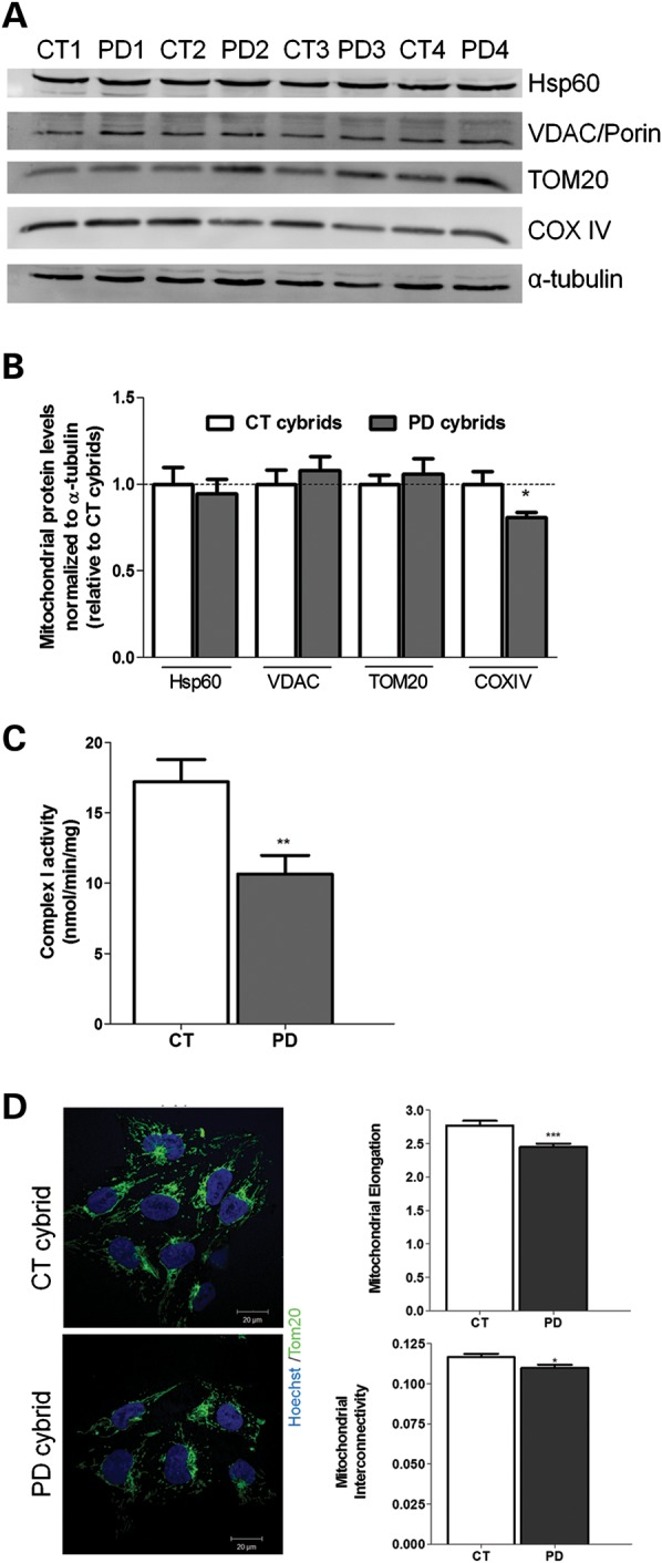 Figure 1.