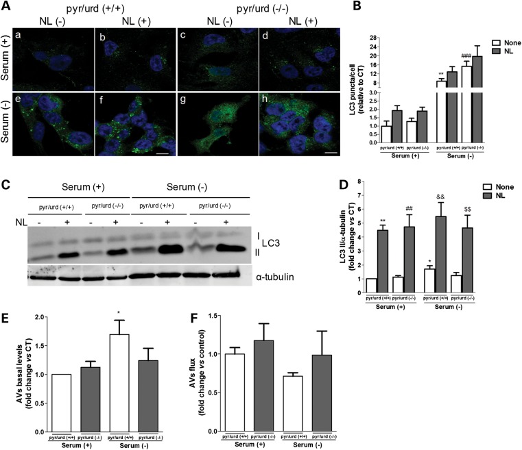 Figure 4.