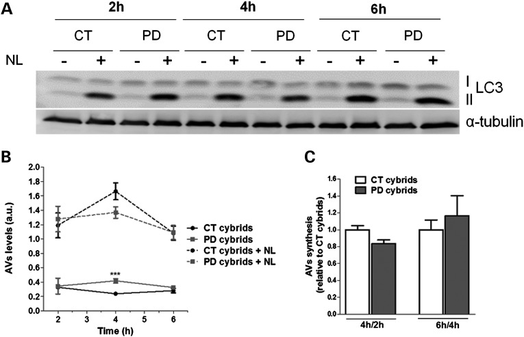 Figure 6.