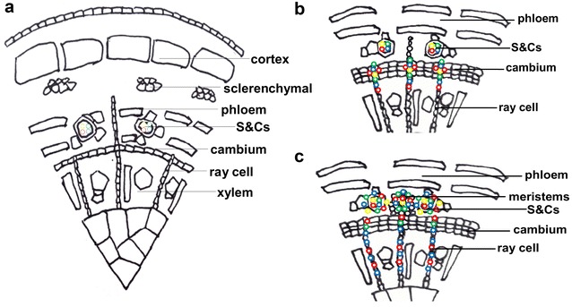 Fig. 8