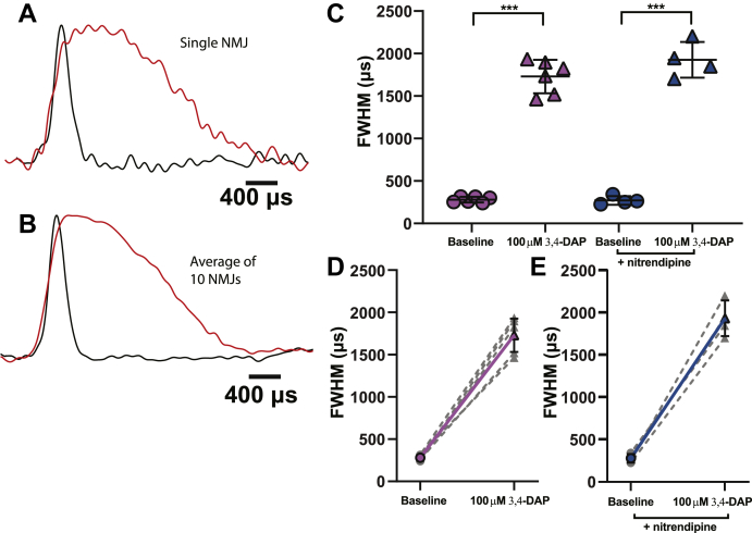 Figure 4