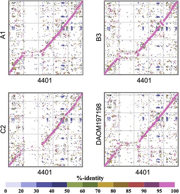 Figure 2.