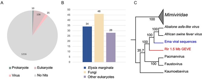 Figure 5.