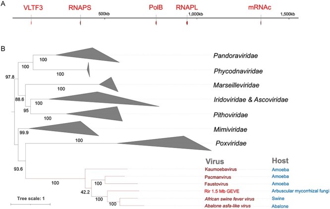 Figure 4.