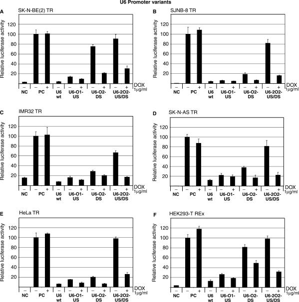 Comparison of RNAi efficiency mediated by tetracycline-responsive H1 ...