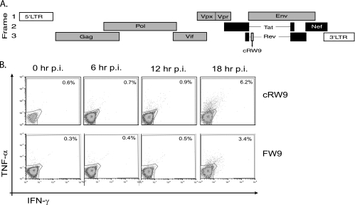 FIG. 1.