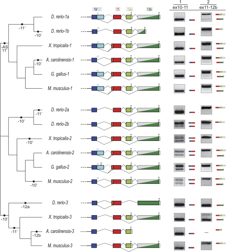 FIG. 2.