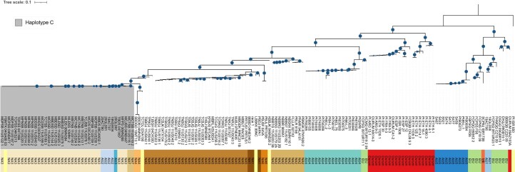 Extended Data Fig. 6