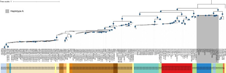 Extended Data Fig. 4