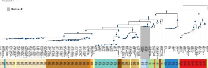 Extended Data Fig. 5