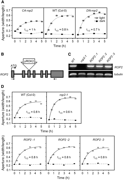 Figure 5.