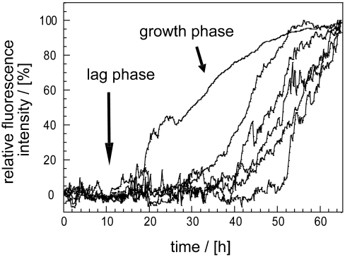 Fig. 3.