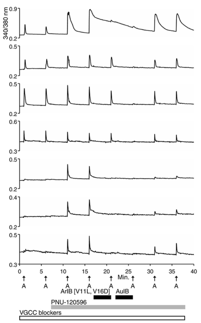 FIGURE 4