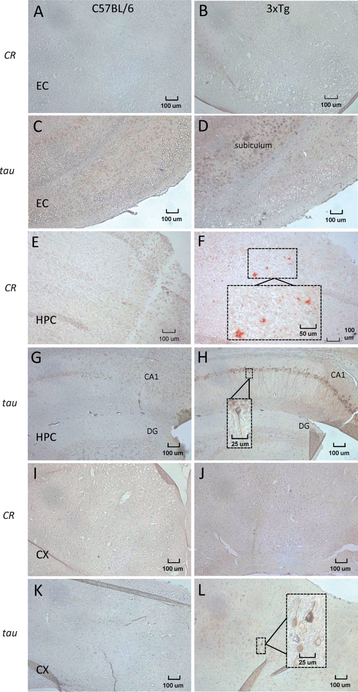 Fig.2