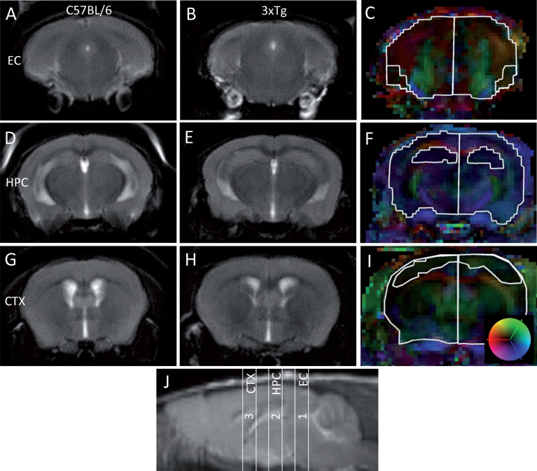 Fig.1