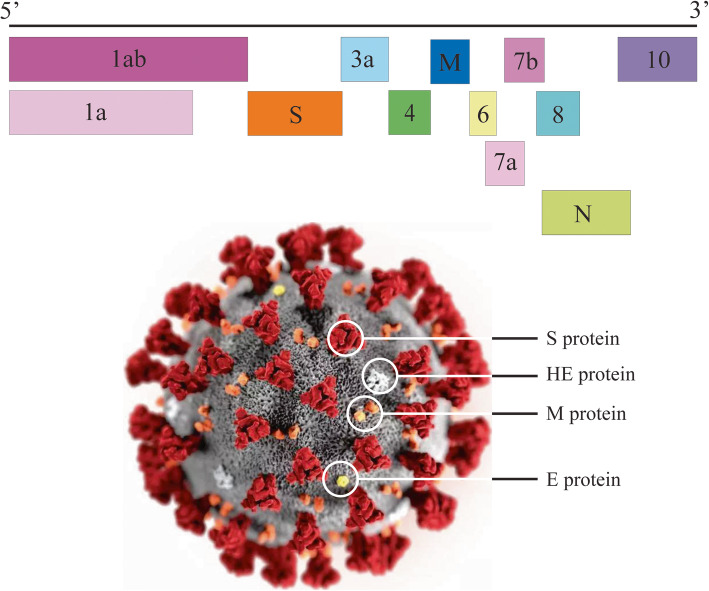 Fig. 2