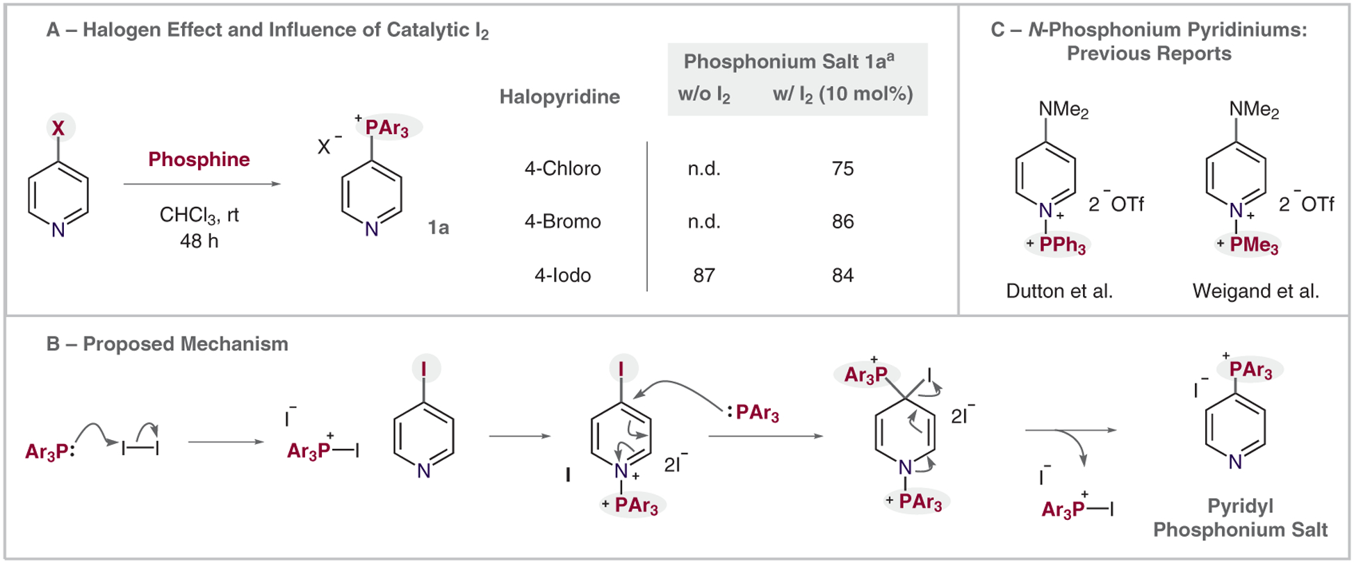 Scheme 3