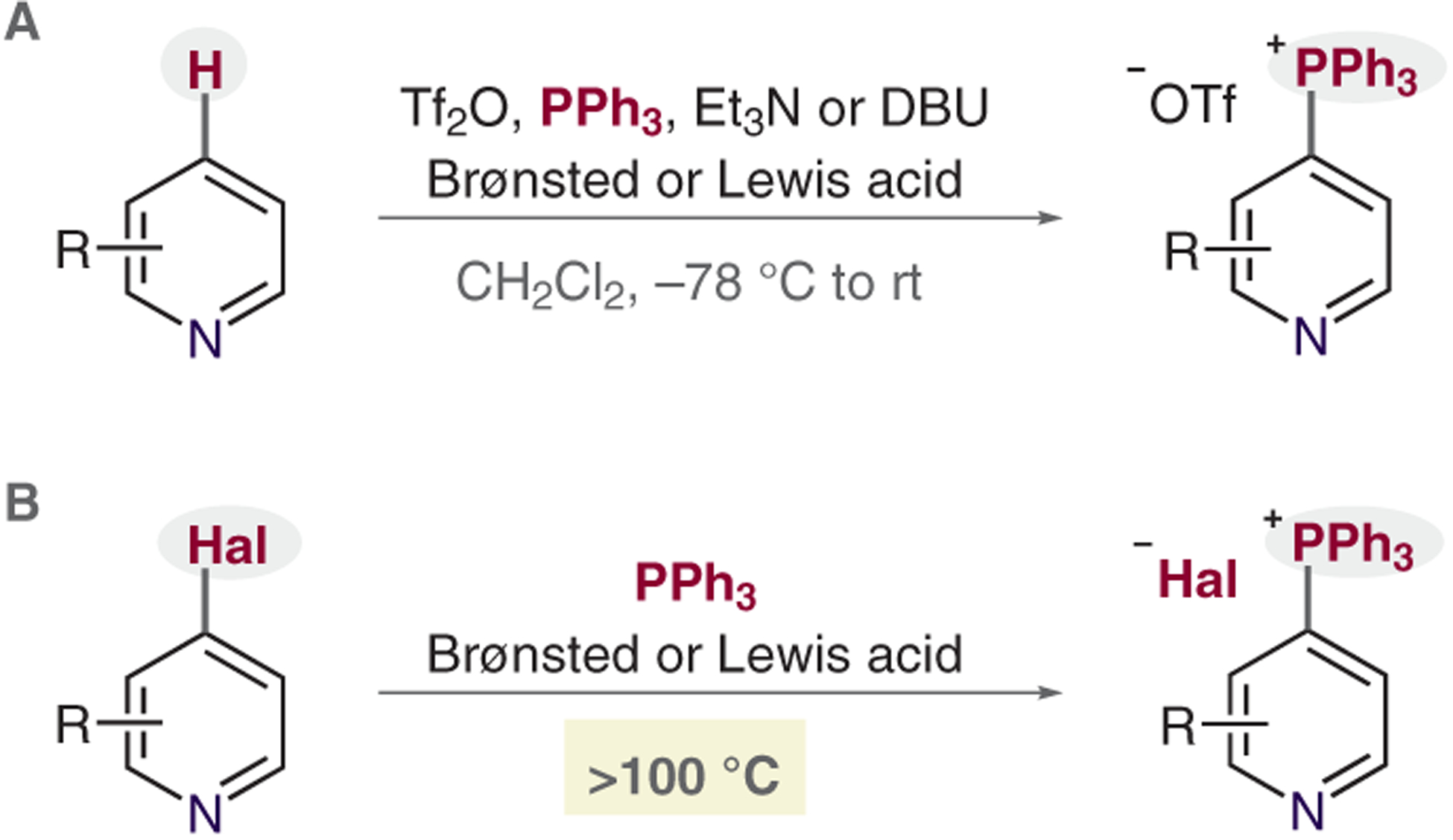 Scheme 2