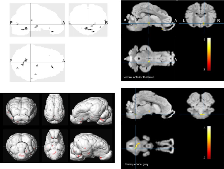 Fig. 2