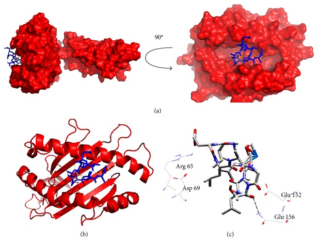 Figure 7