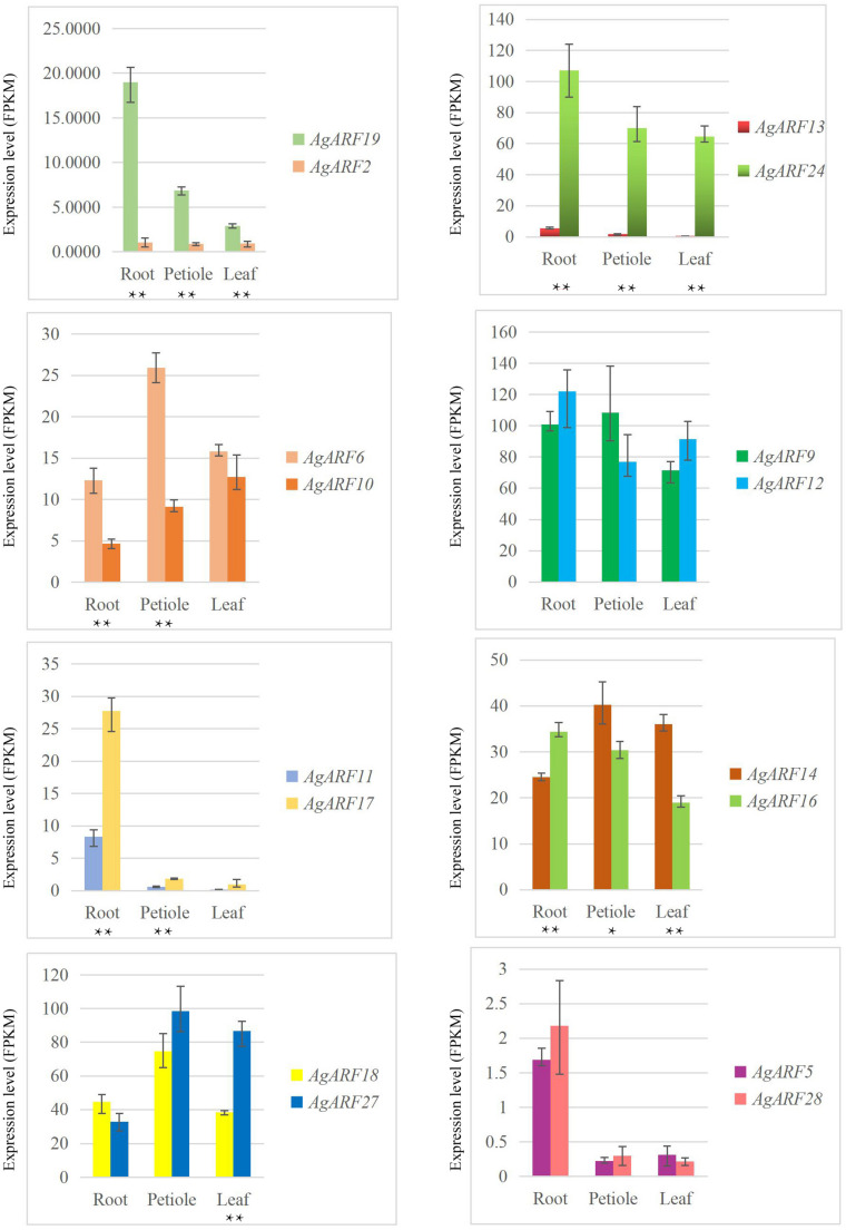 FIGURE 4