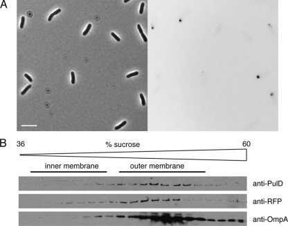 FIG. 8.