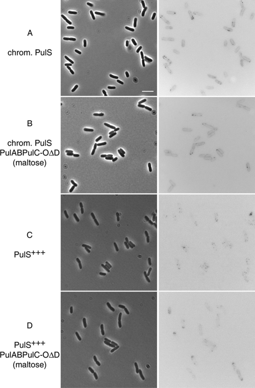 FIG. 6.