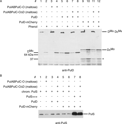 FIG. 4.