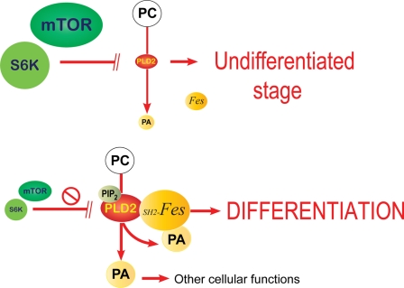 FIGURE 10.